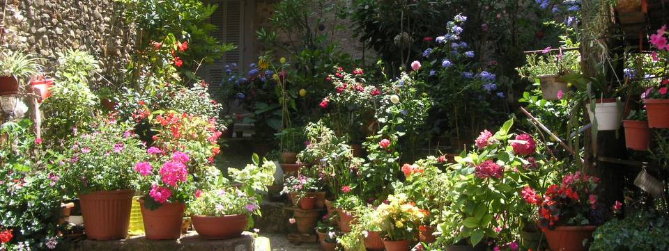 A flower-filled terrace in Anghiari