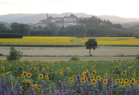 An evening view towards Monterchi from La Pieve Vecchia