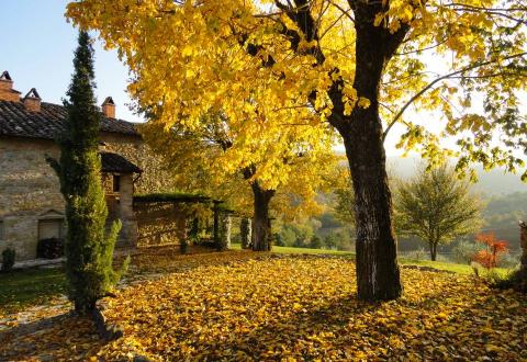 Belvedere in autumn