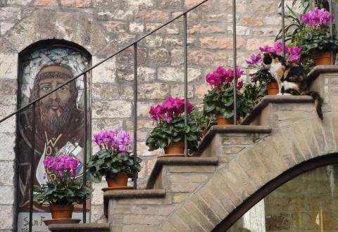 St Francis and friend, Assisi