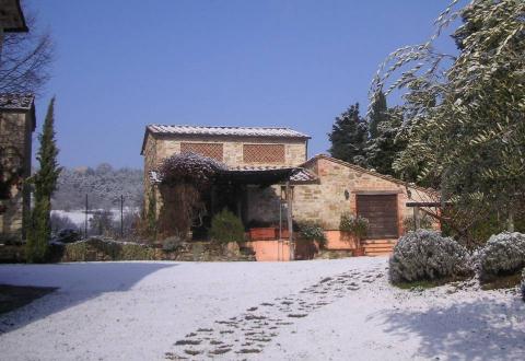 Belvedere in winter