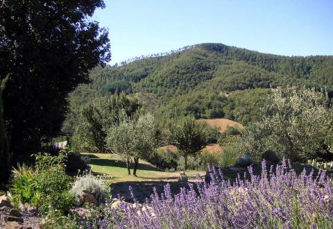 A view from the tennis court terrace